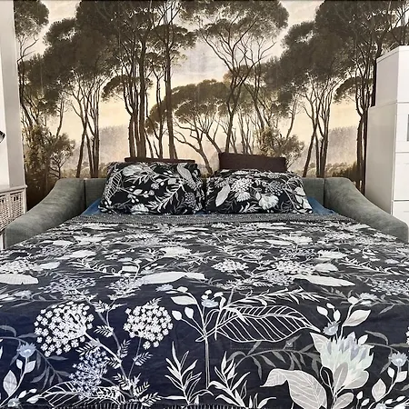 Chambre Double Et Salon Canape Lit 2 A 4 Personnes *