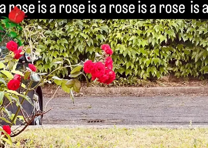 Pour Personne Proche De La Gare Lyon